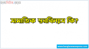 সামাজিক স্তরবিন্যাস কি? | সামাজিক স্তরবিন্যাস বলতে কী বুঝ? |সামাজিক স্তরবিন্যাস সম্পর্কে সংক্ষিপ্ত আলোচনা কর