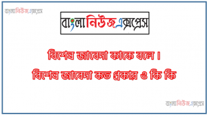 বিশেষ জাবেদা কাকে বলে । বিশেষ জাবেদা কত প্রকার ও কি কি । বিশেষ জাবেদা সুবিধা ও অসুবিধা । বিশেষ জাবেদা গুরুত্ব