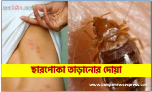 ছারপোকা তাড়ানোর দোয়া । ছারপোকা তাড়ানোর আমল । ছারপোকা থেকে বাঁচার দোয়া । ছারপোকা ক্ষতি থেকে বাঁচার দোয়া