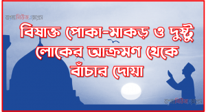 বিষাক্ত পোকা-মাকড় ও দুষ্টু লোকের আক্রমণ থেকে বাঁচার দোয়া । বিষাক্ত পোকা-মাকড় ও দুষ্টু লোকের আক্রমণ থেকে বাঁচার আমল