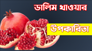 ডালিম খাওয়ার উপকারিতা,ডালিমের পুষ্টিগুণ ও উপকারিতা