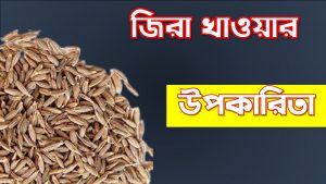 জিরার নানা উপকারিতা,জিরা খাওয়ার উপকারিতা ও অপকারিতা