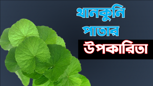 থানকুনি পাতার উপকারিতা,থানকুনি পাতার উপকারিতা ও অপকারিতা