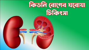 কিডনি রোগের ঘরোয়া চিকিৎসা, কিডনির ইনফেকশন দূর করার ঘরোয়া উপায়