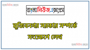 ১৯৭১ সালের অস্থায়ী বিপ্লবী সরকারের বর্ণনা দাও,১৯৭১ সালের মুজিবনগর সরকার গঠন সম্পর্কে লিখ।