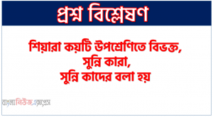 শিয়ারা কয়টি উপশ্রেণিতে বিভক্ত, সুন্নি কারা,সুন্নি কাদের বলা হয়, সুন্নি শব্দটি কোথা থেকে উদ্ভূত, সুন্নিগণ কয়টি মাযহাবে বিভক্ত