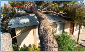 Property damage insurance lawyer  job Property damage insurance lawyer