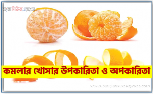 কমলার খোসার উপকারিতা ও অপকারিতা