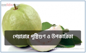 পেয়ারার পুষ্টিগুণ ও উপকারিতা