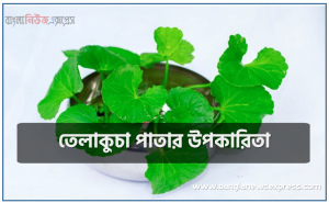 তেলাকুচা পাতার উপকারিতা