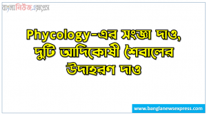 Phycology-এর সংজ্ঞা দাও, দুটি আদিকোষী শৈবালের উদাহরণ দাও, এন্ডোফাইটিক শৈবাল কী, অ্যাপ্লানোস্পোর কী