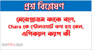 মেরোপ্লাজম কাকে বলে, Chara কে স্টোনওয়ার্ট বলা হয় কেন, এপিক্যাল ক্যাপ কী,প্রোটোনেমা কী