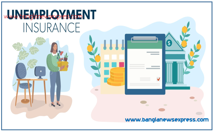 Unemployment Insurance Terms and Conditions, Unemployment Insurance Coverage Details, Unemployment Insurance Eligibility Criteria, Unemployment Insurance Claim Process,