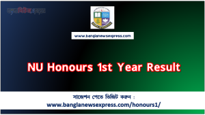 NU Honours 1st Year Result