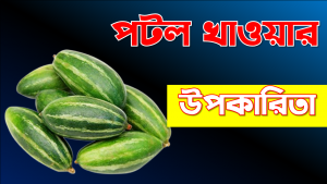 পটলের উপকারিতা,পটল খাওয়ার উপকারিতা