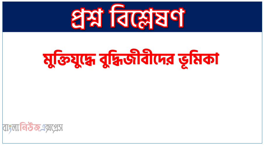 মুক্তিযুদ্ধে বুদ্ধিজীবীদের ভূমিকা, মুক্তিযুদ্ধকে সফল করতে বুদ্ধিজীবীদের অবদান ছিল, একাত্তরের মুক্তিযুদ্ধে বুদ্ধিজীবীদের ভূমিকা