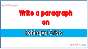 Short Paragraph on Rohingya Crisis
