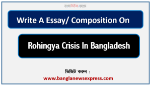 Short essay on rohingya crisis in bangladesh
