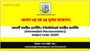 Honors 3rd Year Intermediate Macroeconomics Suggestion