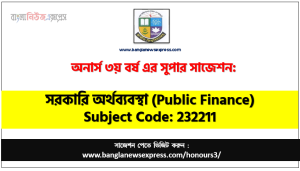 Honors 3rd Year Public Finance Suggestion