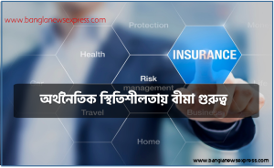 অর্থনৈতিক স্থিতিশীলতায় বীমা গুরুত্ব, আর্থিক স্থিতিশীলতার জন্য বীমা কোম্পানির গুরুত্ব