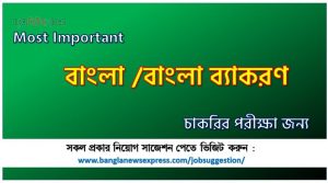 কমন বাংলা ব্যাকরণ চাকরির পরীক্ষার জন্য,Most Important বাংলা ব্যাকরণ চাকরির পরীক্ষা