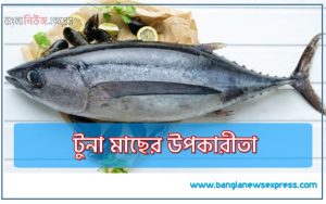 টুনা মাছের উপকারীতা,টুনা মাছের উপকারিতা,টুনা মাছ
