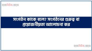 সংগঠন কাকে বলে? সংগঠনের গুরুত্ব বা প্রয়োজনীয়তা আলোচনা কর,সংগঠন তাৎপর্য বণনা কর