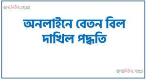 অনলাইনে বেতন বিল দাখিল পদ্ধতি, অনলাইনে বেতন বিল দাখিলের নিয়ম