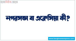 নগরসভা বা এক্লেসিয়া কী?, নগরসভা বা এক্লেসিয়া বলতে কী বুঝ?