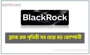 BlackRock, ব্ল্যাক রক পৃথিবী সব চেয়ে বড় কোম্পানী
