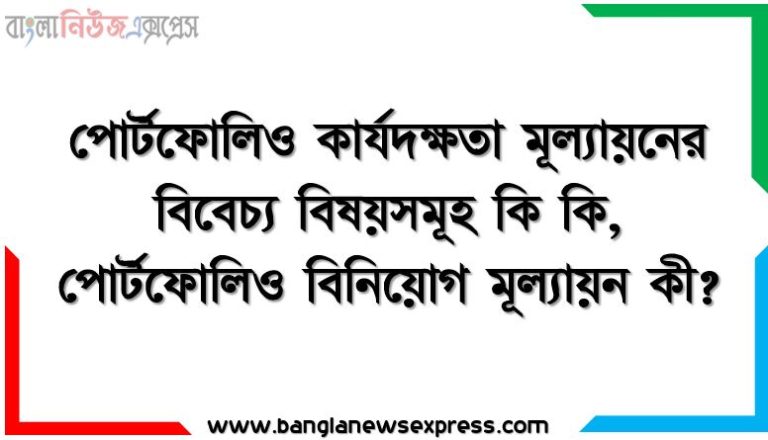 পোর্টফোলিও কার্যদক্ষতা মূল্যায়নের বিবেচ্য বিষয়সমূহ কি কি, পোর্টফোলিও বিনিয়োগ মূল্যায়ন কী?