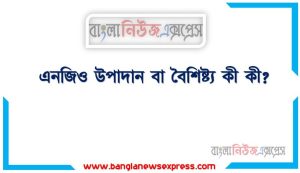 NGO বৈশিষ্ট্যসমূহ আলোচনা করুন, NGO বৈশিষ্ট্য সমূহ, NGO বৈশিষ্ট্য কী কী?