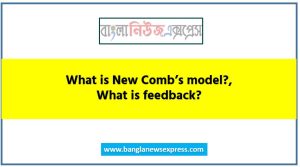 What is New Comb’s model?, What is feedback?,What is feedback model?,What is message?