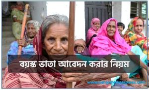 Boyosko vata online application, বয়স্ক ভাতা আবেদন করার নিয়ম,বয়স্ক ভাতা অনলাইন আবেদন