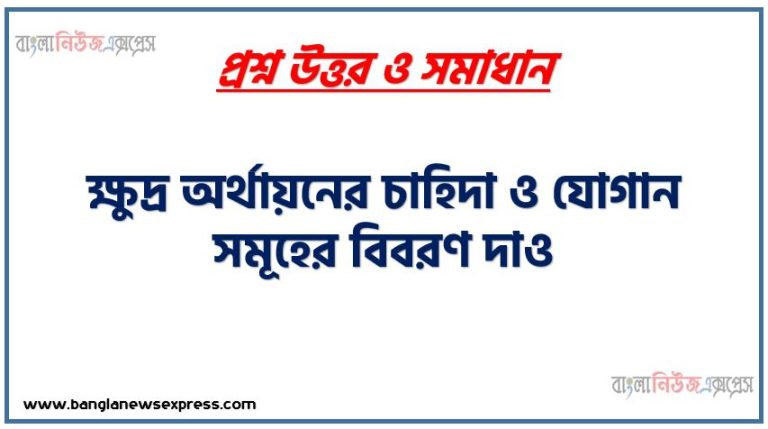 ক্ষুদ্র অর্থায়নের চাহিদা ও যোগান সমূহের বিবরণ দাও