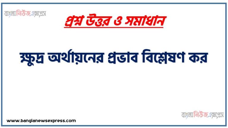 ক্ষুদ্র অর্থায়নের প্রভাব বিশ্লেষণ কর।