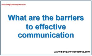 Describe the barriers to effective communication in business organization