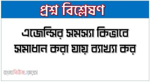 এজেন্সির সমস্যা কিভাবে সমাধান করা যায় ব্যাখ্যা কর