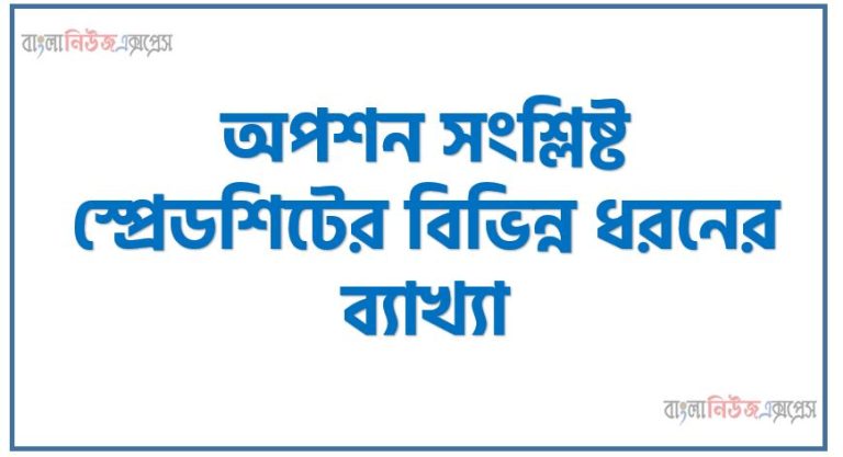 অপশন সংশ্লিষ্ট স্প্রেডশিটের বিভিন্ন ধরনের ব্যাখ্যা