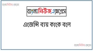এজেন্সি ব্যয় কাকে বলে, এজেন্সি সমস্যার প্রকারভেদ তুলে ধরো