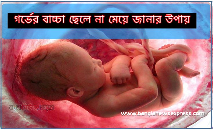 গর্ভের বাচ্চা ছেলে না মেয়ে জানার উপায়, গর্ভের সন্তান ছেলে না মেয়ে বুঝবেন যেভাবে,গর্ভের সন্তান ছেলে না মেয়ে,গর্ভের বাচ্চা ছেলে না মেয়ে তা বোঝার উপায়,ছেলে হবে না মেয়ে?