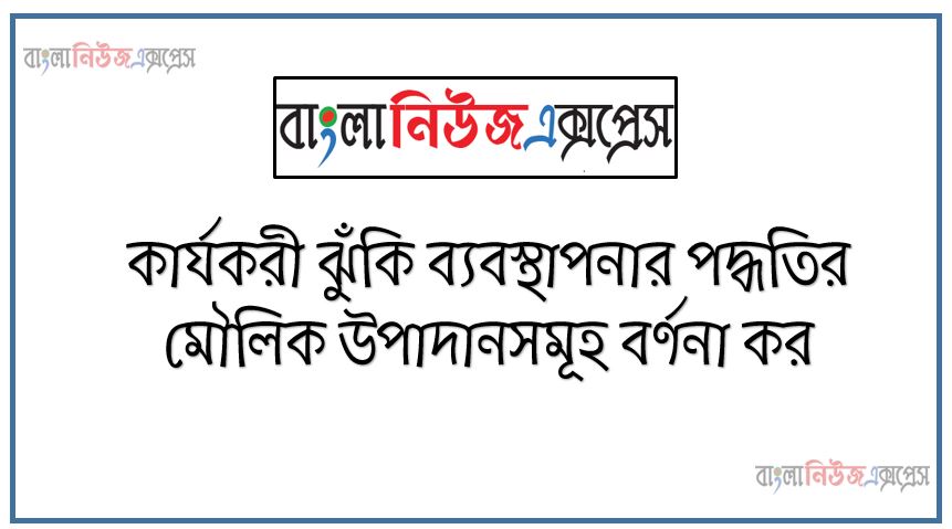 কার্যকরী ঝুঁকি ব্যবস্থাপনার পদ্ধতির মৌলিক উপাদানসমূহ বর্ণনা কর