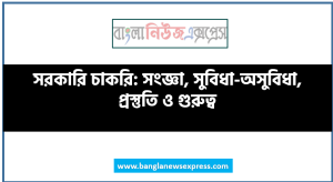 সরকারি চাকরি: সংজ্ঞা, সুবিধা-অসুবিধা, প্রস্তুতি ও গুরুত্ব