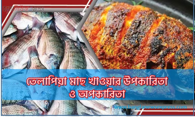 তেলাপিয়া মাছ খাওয়ার উপকারিতা ও অপকারিতা | স্বাস্থ্য উপকার, পুষ্টিগুণ ও ঝুঁকি ব্যাখ্যা