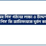 'বোর্ড অব পিস' গঠনের লক্ষ্য ও উদ্দেশ্য কী? 'বোর্ড অব পিস' কি জাতিসংঘকে দুর্বল করে তুলবে?