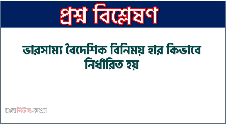 ভারসাম্য বৈদেশিক বিনিময় হার কিভাবে নির্ধারিত হয়,কিভাবে মুদ্রা বিনিময় হার নির্ধারণ করা হয়?,কিভাবে বিনিময় হার নির্ধারণ করা হয়