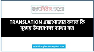 TRANSLATION এক্সপোজার বলতে কি বুঝায় উদাহরণসহ ব্যাখ্যা কর , TRANSLATION এক্সপোজার কী?, TRANSLATION এক্সপোজার বলতে কী বুঝ?, TRANSLATION এক্সপোজার সংজ্ঞা দাও