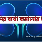 কিডনির ব্যথা কমানোর উপায়,Kidney Pain Relief at Home,কিডনির ব্যথা কমানোর সহজ উপায়,কিডনির ব্যথা কেন হয়? ঘরোয়া উপায়ে দ্রুত কমান,কিডনি ব্যথা হলে কী করবেন? ঘরে বসেই সমাধান,Kidney Pain Solution Bangla ,কিডনি ব্যথা কমানোর ৭টি উপায়,