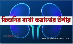 কিডনির ব্যথা কমানোর উপায়,Kidney Pain Relief at Home,কিডনির ব্যথা কমানোর সহজ উপায়,কিডনির ব্যথা কেন হয়? ঘরোয়া উপায়ে দ্রুত কমান,কিডনি ব্যথা হলে কী করবেন? ঘরে বসেই সমাধান,Kidney Pain Solution Bangla ,কিডনি ব্যথা কমানোর ৭টি উপায়,